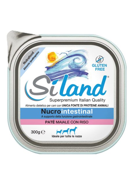 SILAND NUCROINTESTINAL MAI/RIS