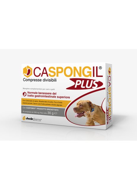 CASPONGIL PLUS 30CPR