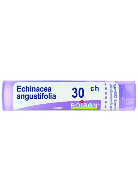 ECHINACEA ANGUSTIFOL 30CH GR BO