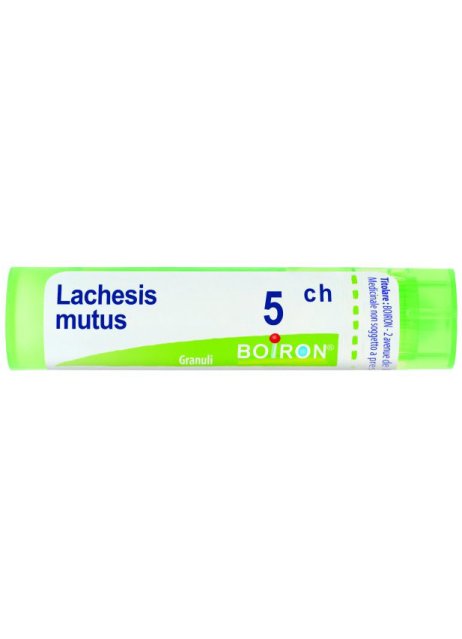 LACHESIS MUTUS 5CH GR BO