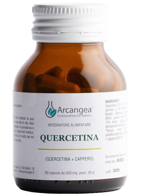 QUERCETINA 60CPS 500MG ARCA