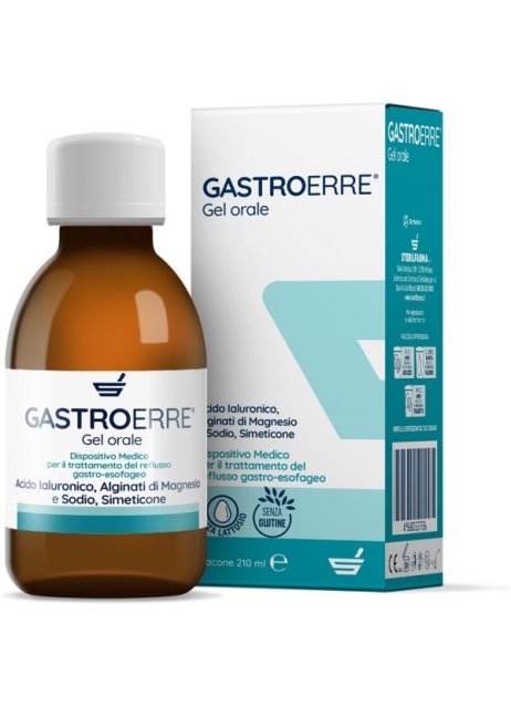 GASTROERRE 210ml