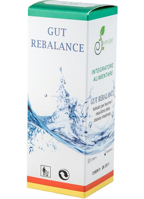 GUT REBALANCE 100ML