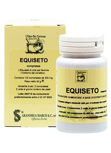 EQUISETO 400 MG 100CPR