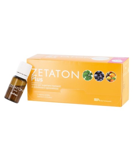 ZETATON PLUS 12FX10ML