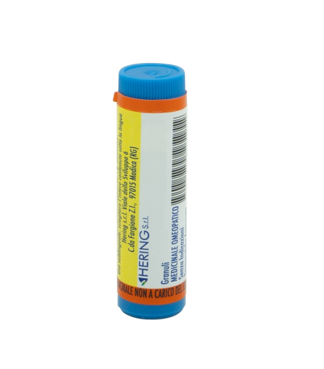 ARNICA MONTANA*06LM GR 1G