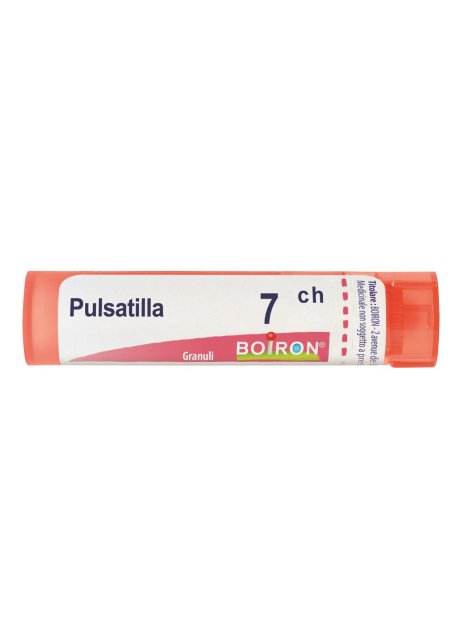 PULSATILLA*7CH 80GR 4G