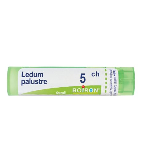 LEDUM PALUSTRE 5CH GR BO