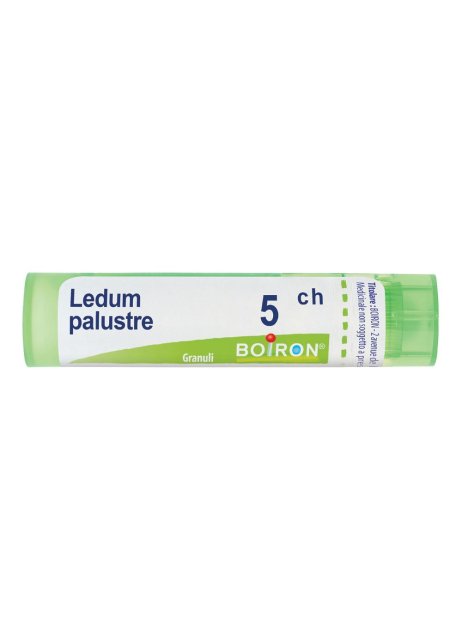 LEDUM PALUSTRE 5CH GR BO