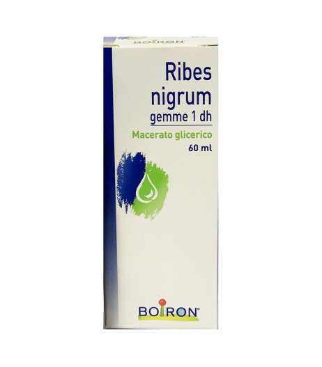 RIBES NIGRUM GEMME 60ML MG BO