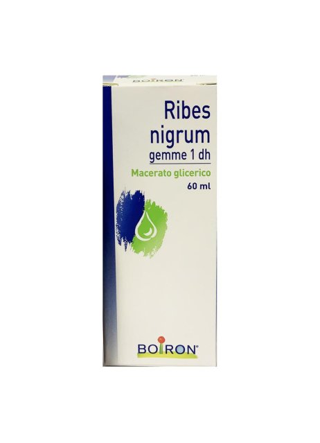 RIBES NIGRUM GEMME 60ML MG BO