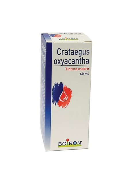 CRATAEGUS 60ML TM BO