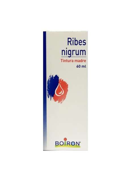 RIBES NIGRUM 60ML TM