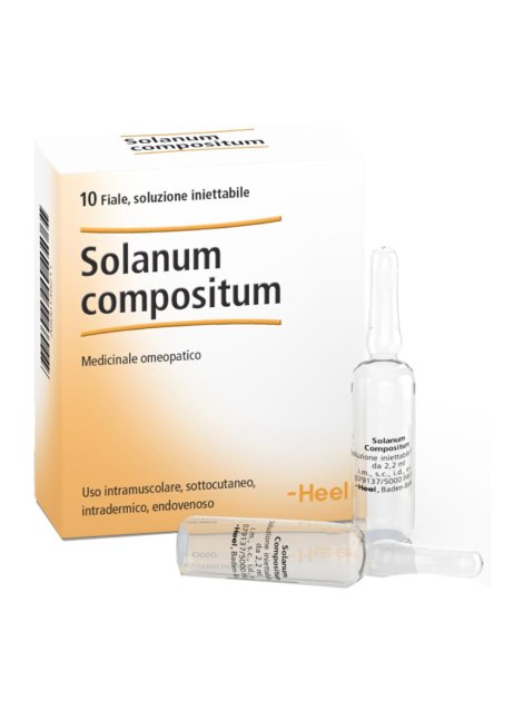 SOLANUM COMP 10FL HEEL