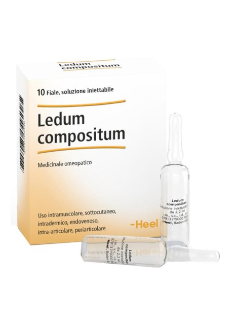 LEDUM COMP 10FL HEEL