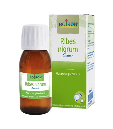 BO.RIBES NIGRUM 7CH TUBO