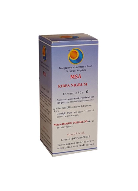 MSA RIBES NIGRUM 50ML