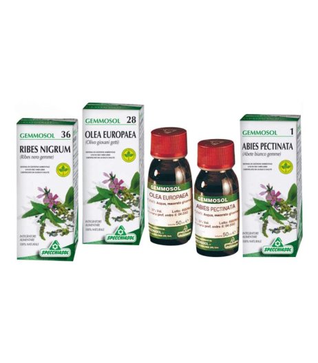 GEMMOSOL 36 RIBES NERO 100ML