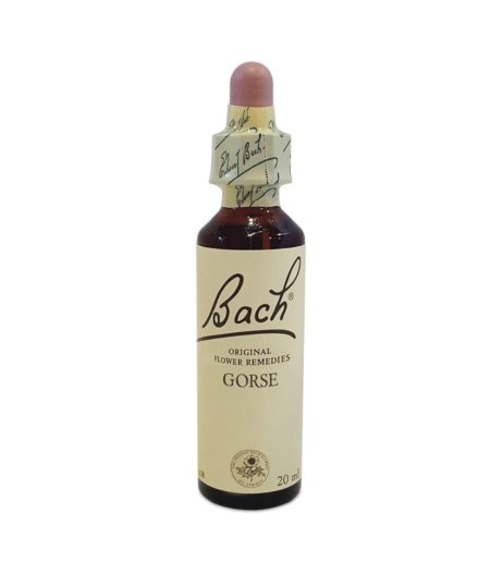 BACH CENTER ESS GORSE 20ML