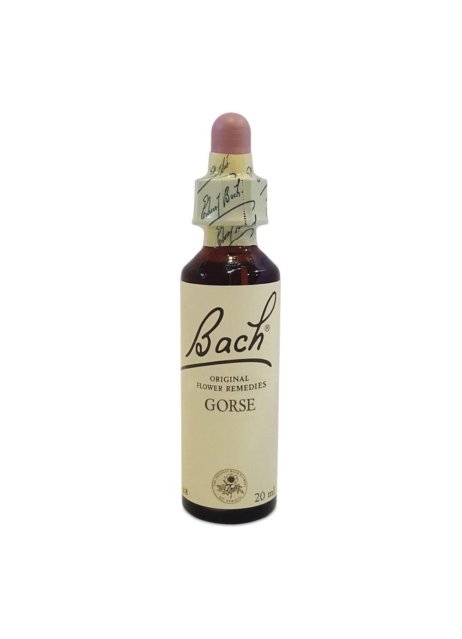 BACH CENTER ESS GORSE 20ML