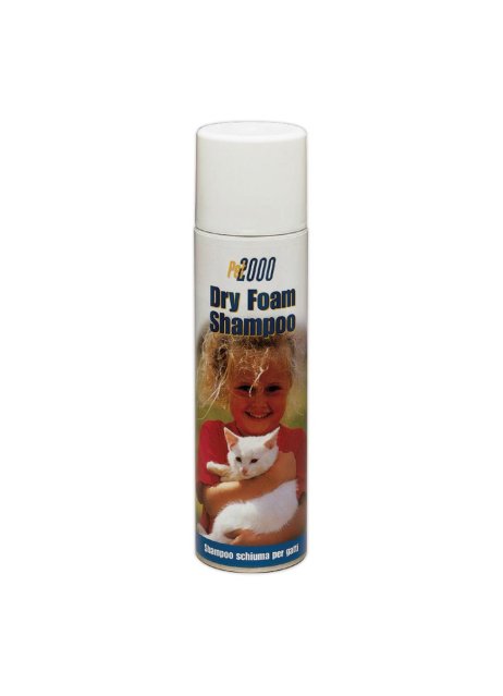 DRY FOAM SH GATTI 250ML