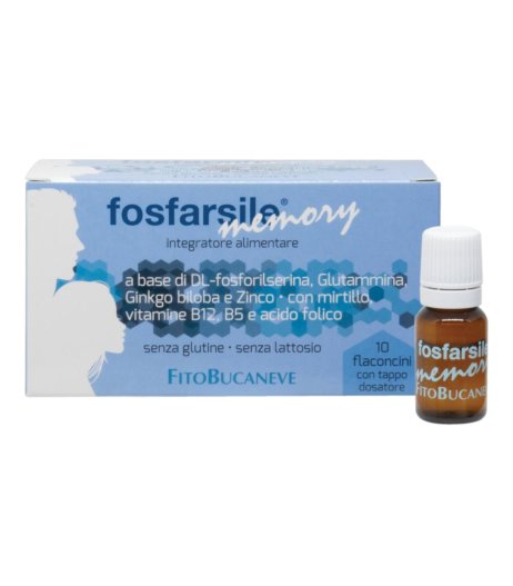 FOSFARSILE MEMORY INT 10FLNI