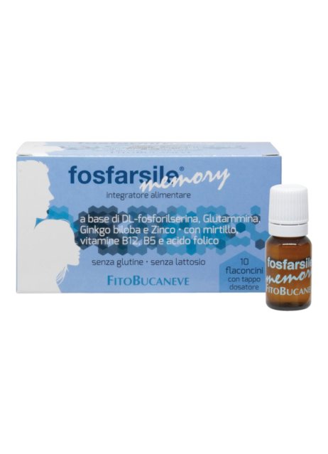 FOSFARSILE MEMORY INT 10FLNI