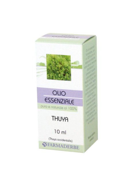 THUYA OLIO ESSENZIALE 10ML