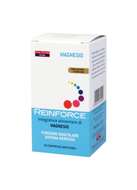 REINFORCE MAGNESIO 30CPR