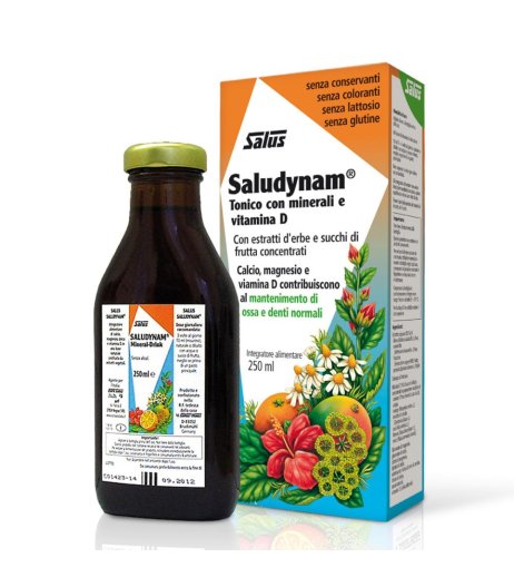 SALUDYNAM 250ML