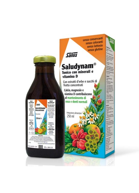 SALUDYNAM 250ML