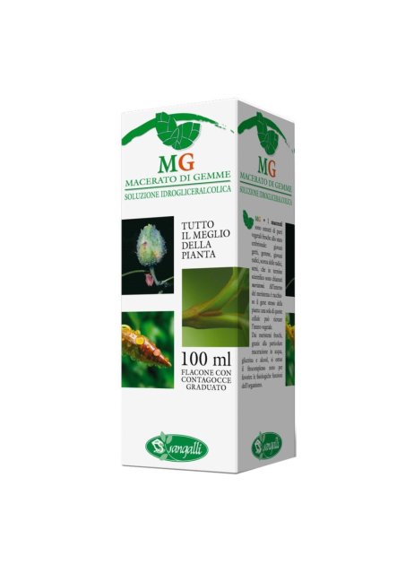 IPPOCASTANO 100ML MG