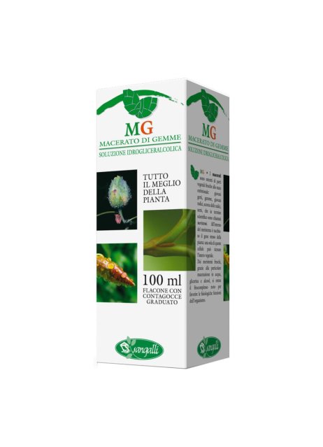 MIRTILLO RO 100ML MG