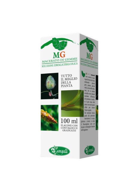 NOCE 100ML MG