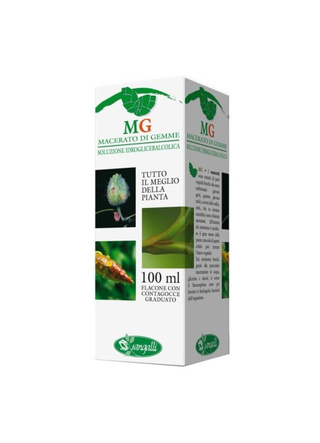 QUERCIA 100ML MG