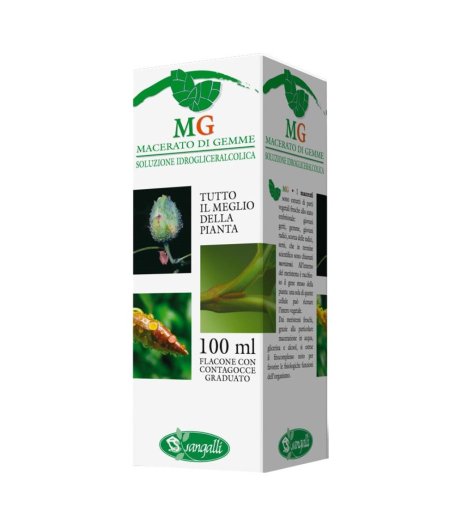 RIBES 100ML MG