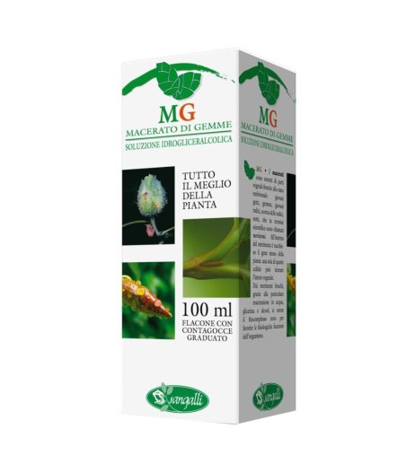 TIGLIO ARGENT 100ML MG