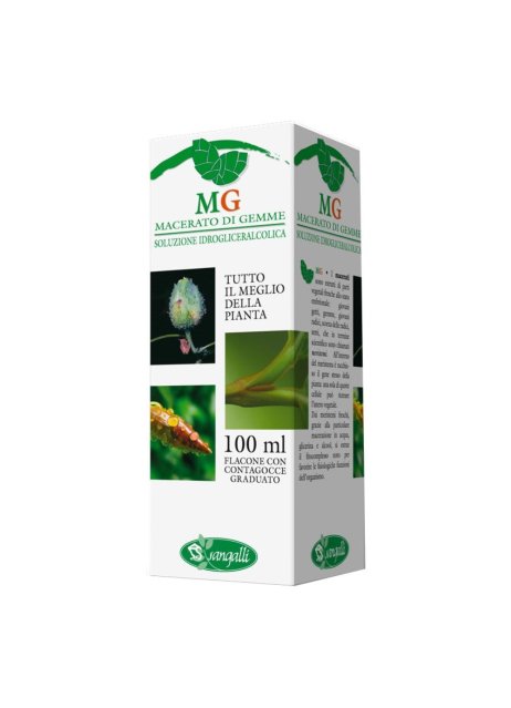 VITE 100ML MG