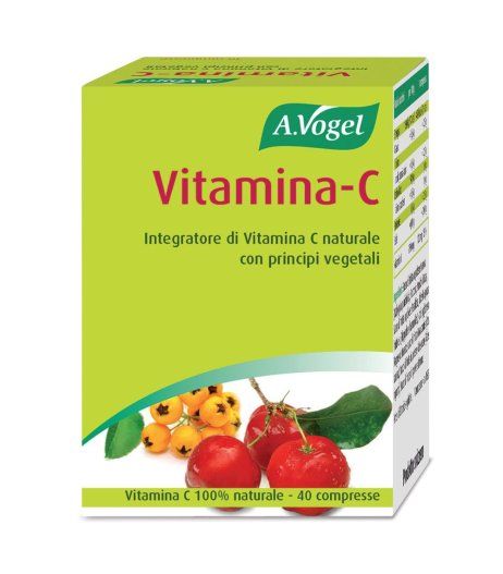 VITAMINA C 50PAST FDL