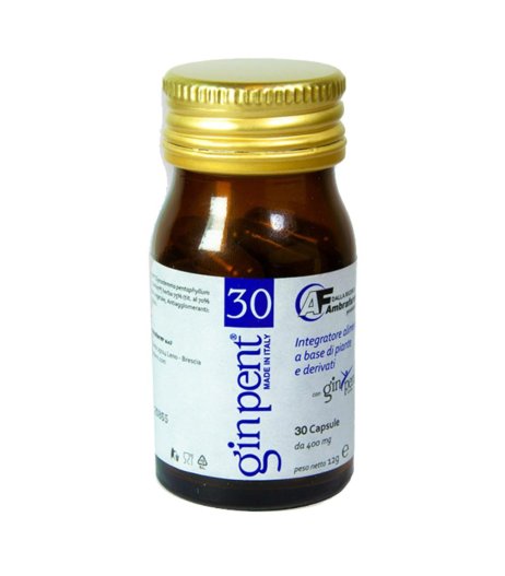 GINPENT  30CPS 400MG