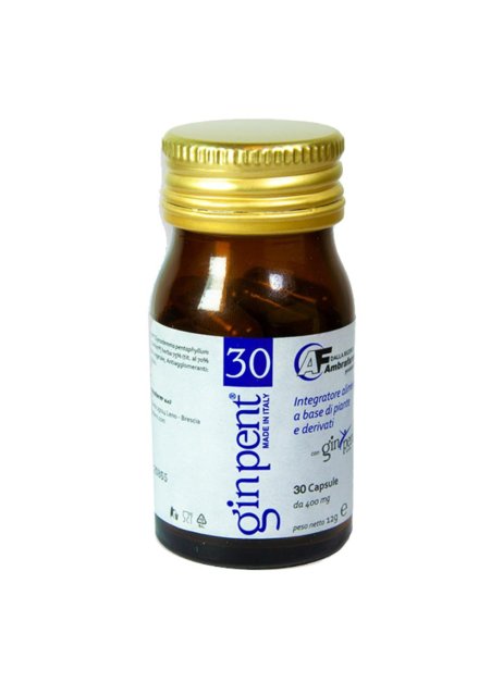 GINPENT  30CPS 400MG