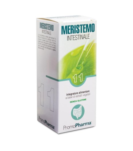 MERISTEMO YNKHAS 11 100ML