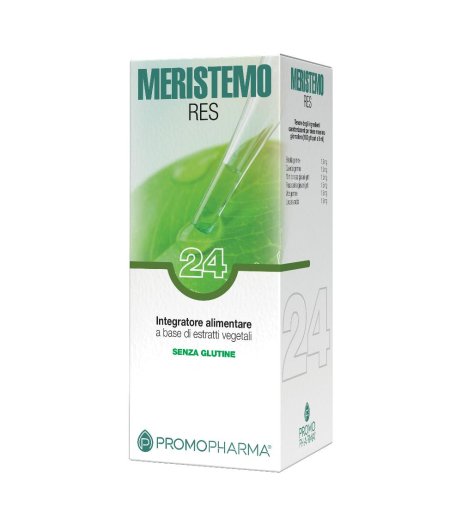 MERISTEMO INKAS 24 100ML