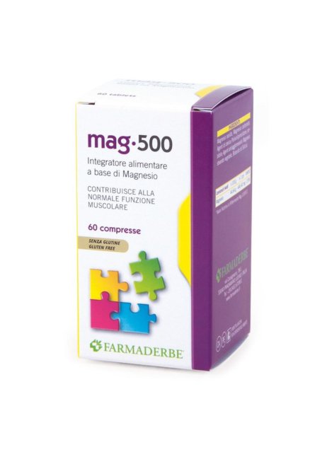 MAGNESIO 500 60CPR FDR