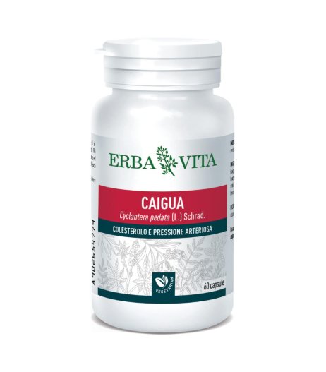 CAIGUA 60CPS 400MG EBV