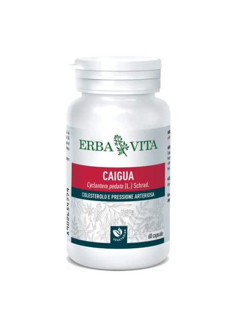 CAIGUA 60CPS 400MG EBV