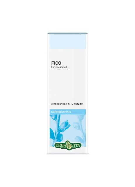 GEMMODERIVATO FICO 50ML