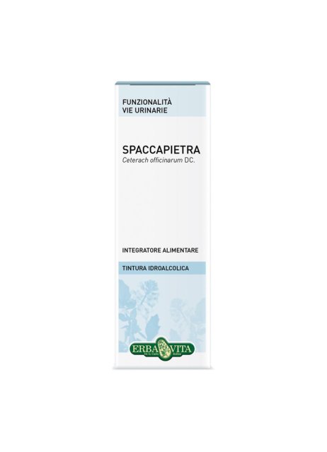 SPACCAPIETRA TINT IAL 50ML EBV