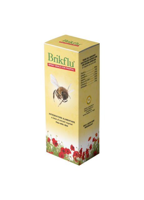 BRIKFLU SPR ORALE 30 ML