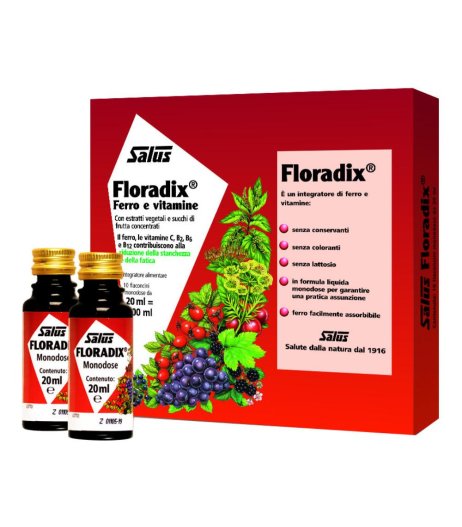 FLORADIX-FERRO 10 FLACONCINI20ML